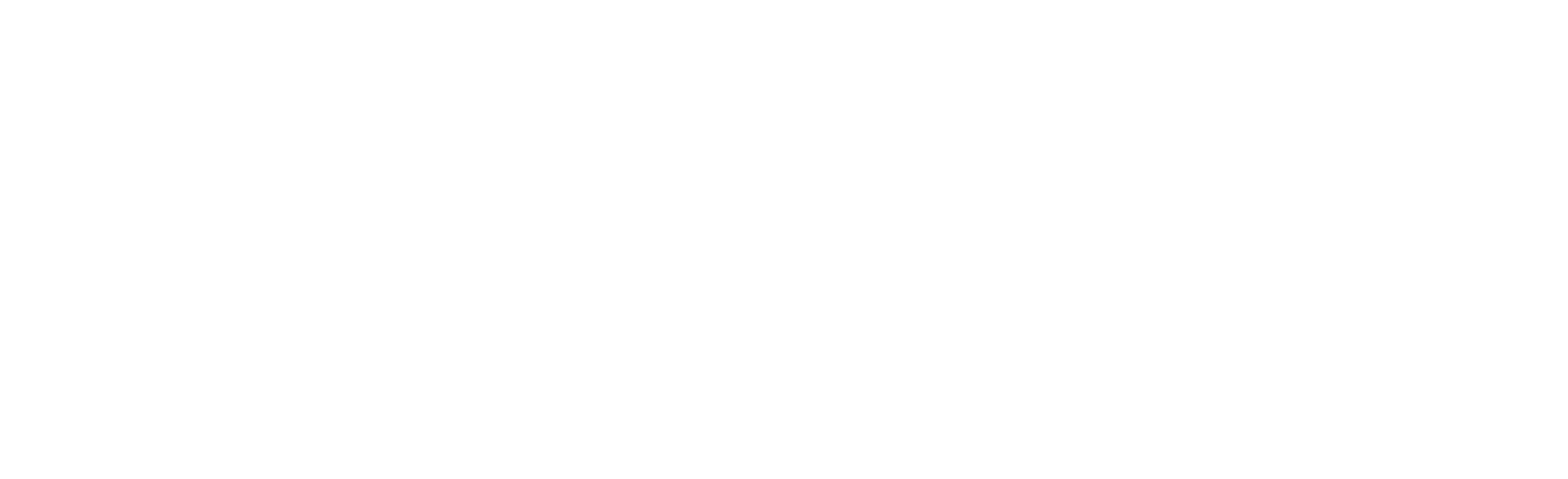 PARSO — creative & performance agency